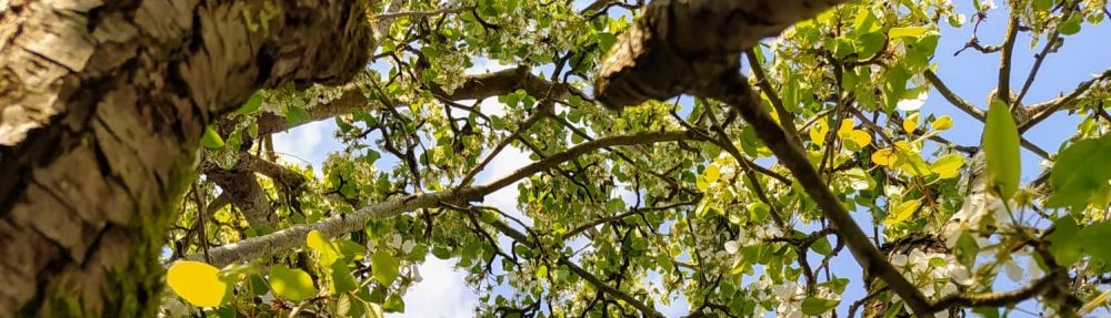 L'APLV, cette allergie méconnue chez les Bébés